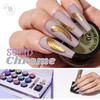 Solid Mirror Chrome Nail Pigment Collection 1
