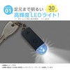 Kutsuwa SL028BL Disaster Preparedness Supplies, Moshimono Compact Light, Blue