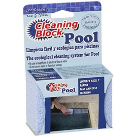 Cleaning block 10013EI pool tiles
