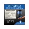 Birdman Proteína Falcon 960g Creatina Monohidratada Bp