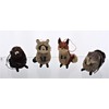 3.5 to 6-Inch Buri Woodland Animal Ornament Set, 4 Assorted