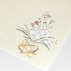 Enuby Company Yuakari B5 Stationery Seika Stationery and Envelopes Set