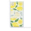 Today's Letter One Brush Notebook (Lemon) Mino Washi Waterfall Paper