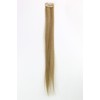 YZF-P1S18-24 Clip Extension Straight Light Ash Blonde 45 cm /