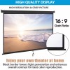 Segawe 100" Pull Down Projection Screen 16:9 HD Home Theater