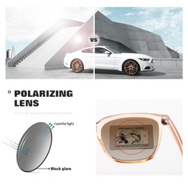 TIANYESY Polarized Sunglasses Womens Men Vintage Sun glasses Square Trendy Classic Simple Fashion Retro (Translucent Brown)