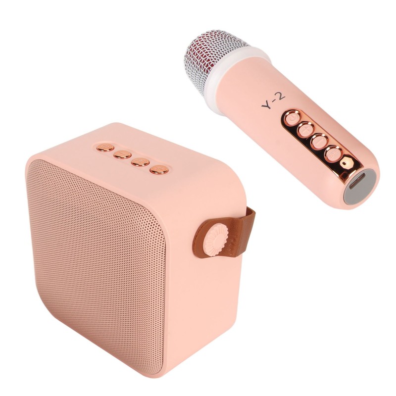 Mini Karaoke Machine Set Portable Bluetooth Speaker with 1 Wireless