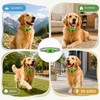 Collare Antiparassitario Cani Naturale - Ciondolo Repellente Pulci