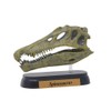 Dinosaur Spinosaurus Skull Mini Model (FDW-503)