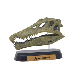 Dinosaur Spinosaurus Skull Mini Model (FDW-503)