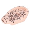 17cm Ear Point Probe 600pcs Auricular Patches Silicone Ear Model