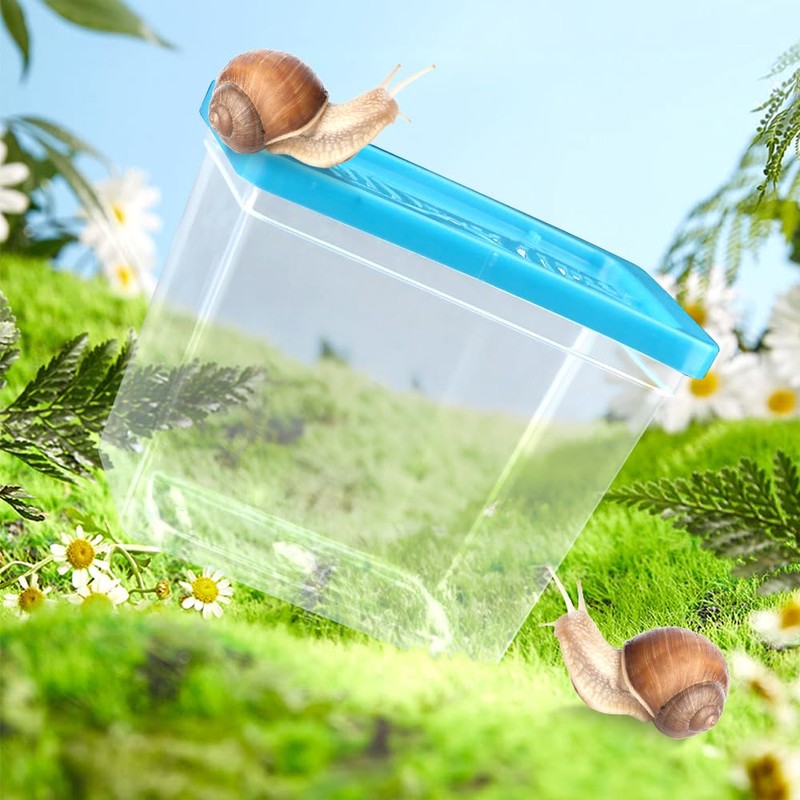 48 Pack Small Plastic Reptile Carrier Tarantula Enclosure Breeding Box