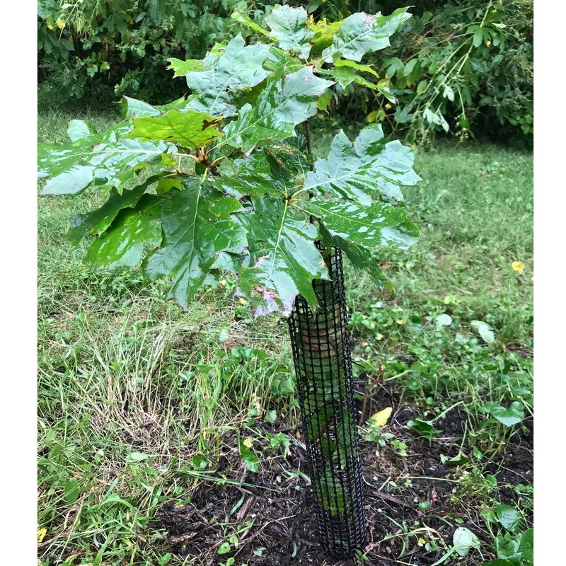 Voglund Nursery Mesh Tree Bark Protector Guard 24 Inches Tall