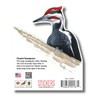 Earth Sky + Water - Pileated Woodpecker - 3.5_ Sticker