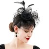 Fascinators For Women,Mesh Feather Fascinator Hats,Headband Hair Clip Net Veil