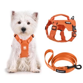 OneTigris Dog Harness for Small Dogs with Lead (150 cm), Mini Trooper Puppy Harness with Control Handle and 2 Towing Positions for Small Dogs, Orange, XS