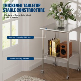 Chingoo Stainless Steel Table with Wheel Caster 24 x 24 Inches Metal Food Prep Work Table with Adjustable Undershelf for Kitchen, Outdoor, Restaurant，Hotel & Garage