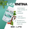 BDM-LIFE L-Carnitina con Cafeína, Té Verde y Guaraná, Energía y
