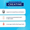 BODYTECH 100% Pure Creatine Monohydrate Powder - Micronized for Maximum