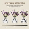 COCODOR Lavender Reed Diffuser/White Jasmine/6.7oz/1Pack / Home Fragrance Scent Essential