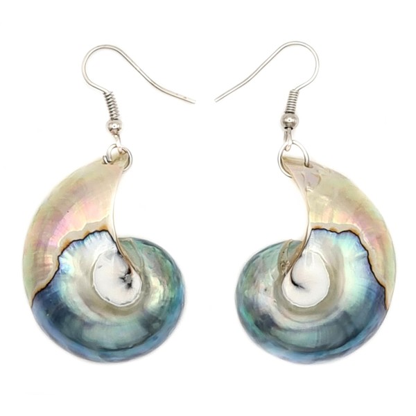 Swimmi Natural Open Nautilus Shell Earrings, Dangle Drop 925 Sterling