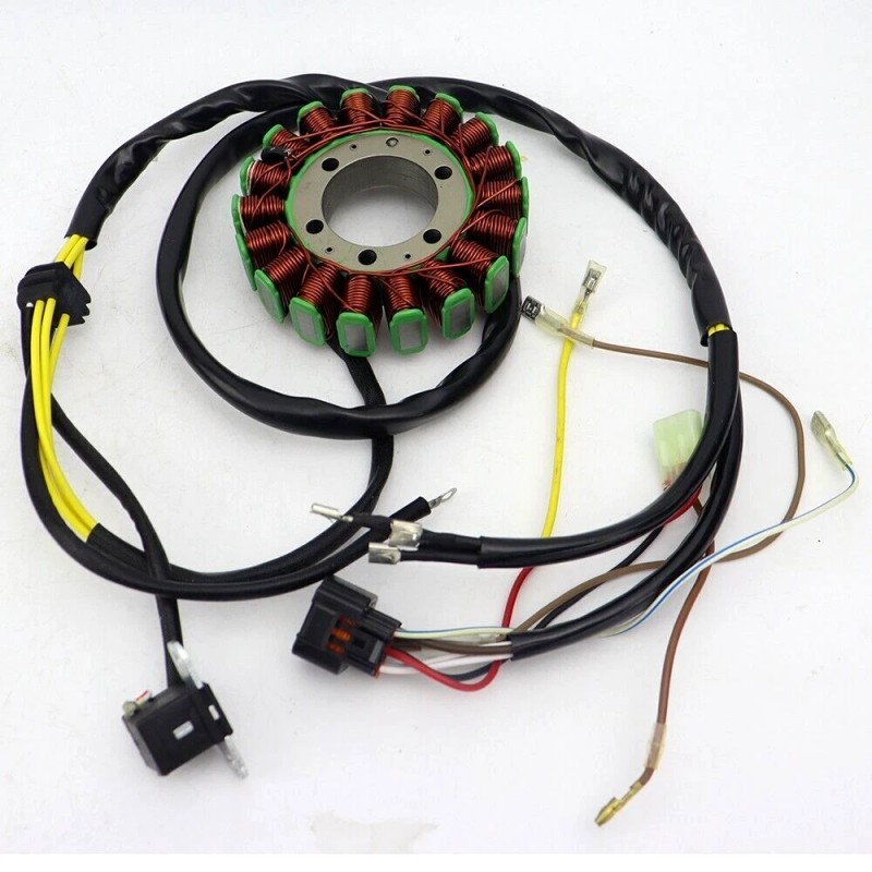 Soarider Magneto Stator Replacement for Polaris ATP 500 2005 3089249