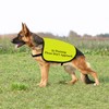 Training Dog Jacket Vest In Training Please Do Not Approach