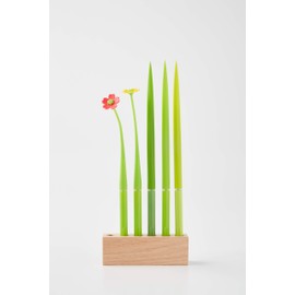 zeup Design Studio Pooleaf beauleaf Ballpoint Pen Set