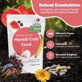 Snout and Shell Summer Sunset Hermit Crab Food - 1 oz - 30 Grams - Whole Food Diet for Hermit Crabs - Flowers, Bugs and More