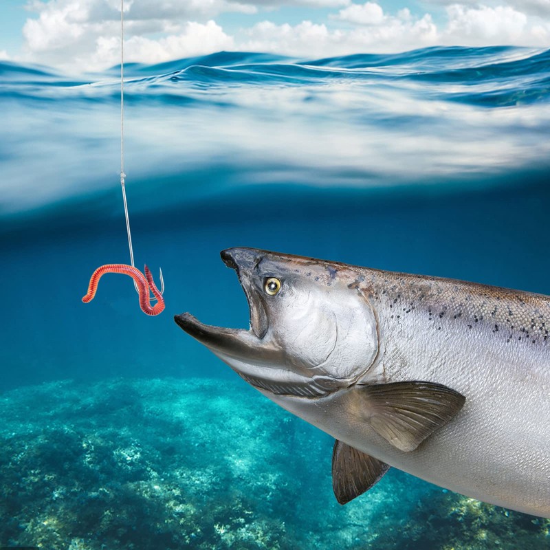 Dr.Fish 100 Pack Aberdeen Hooks Extra Long Shank Hooks Light