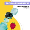 schmatzfatz Leak-Proof Sports Drinking Bottle, BPA-Free, 350 ml, Fruit Insert,