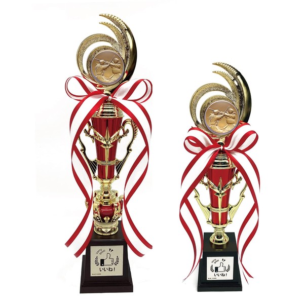 You can choose the species ☆ Trophy T3805 Competition Awards Winning Likes Rewards Soccer Baseball Kendo (12.2 inches (31 cm), Kendo)