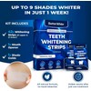 BetterWhite Professional Teeth Whitening Strips 7 Treatments - Enamel Safe