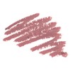 Trish McEvoy Shape & Enhance Lip Liner, Natural, 1.2 g