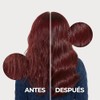SHAMPOO MATIZADOR ROJO DE 300ML SIN SULFATOS