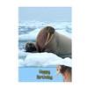 Walrus Birthday Card