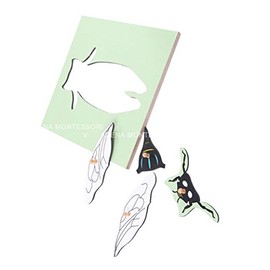 Adena Montessori Fly Puzzle Montessori Teacher Tranning Center Tools