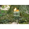 Sierra Stove Wood Camping/Backpacking Stove Boil 1 qt of water