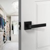 Probrico 2 Pack Passage Door Handles Matte Black Handles Lever