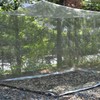 Extra Large Korean-Made Square Mosquito Net for Outdoor Camping 9-10 Person