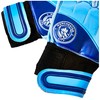 Team Merchandise Goalkeepers Gloves - Youth