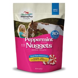Manna Pro Bite-Size Nuggets for Horses – Horse Training Treats – Peppermint Flavored Treats for Horses – 1 LB