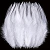 Holmgren 200pcs White Craft Feathers - 5-7inch Rooster Feathers for