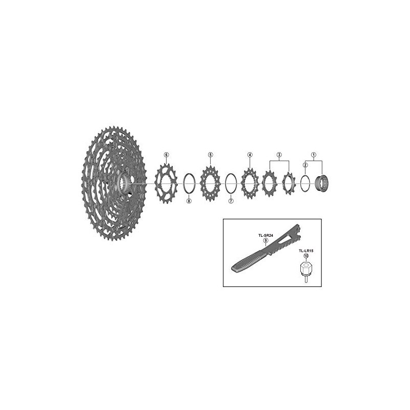 SHIMANO Unisex - Adult CS-M8100 Sprocket, Black, One Size