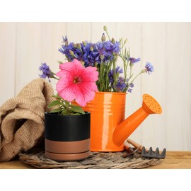 Small Plant Pots Set, 4.5 Inch & 6 Inch Ceramic Planter Pot for Plants with Drainage Hole and Saucer, Black/Speckled Tan