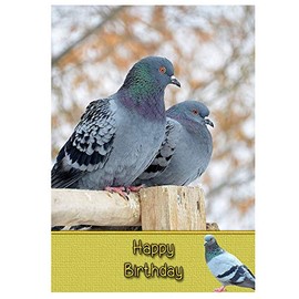 Racing Homing Pigeon Birthday Card