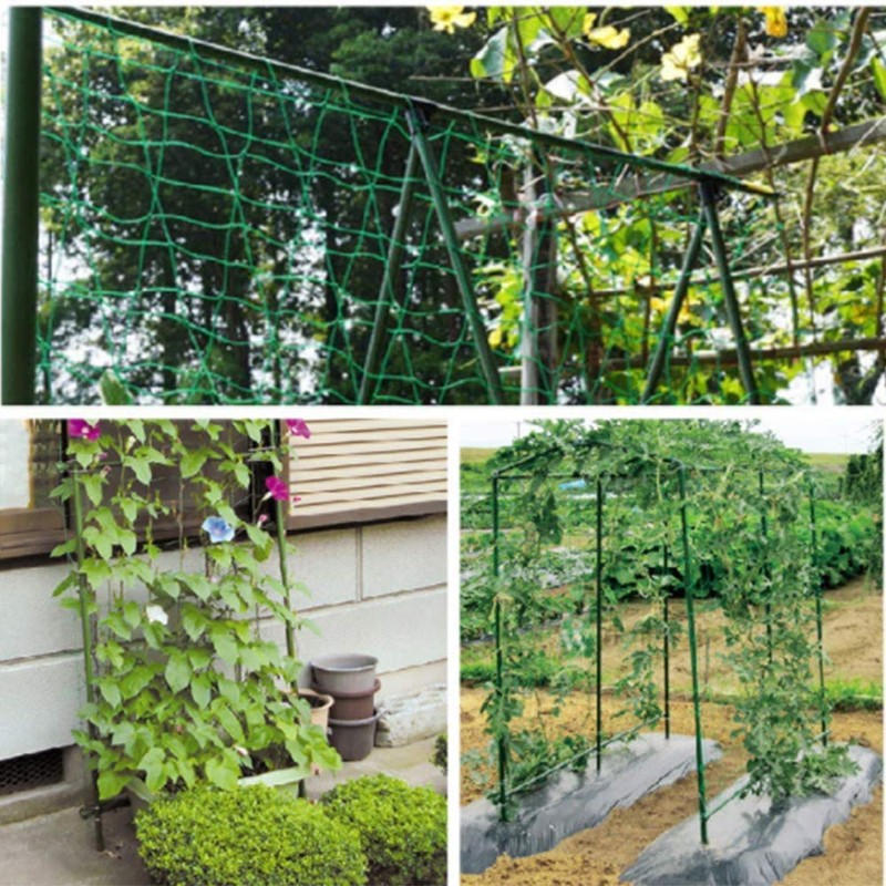 Miuezuth Premium Trellis Net with large mesh size for particularly