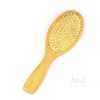 Scalp Brush Volume Brush among Hoi Wood Brush