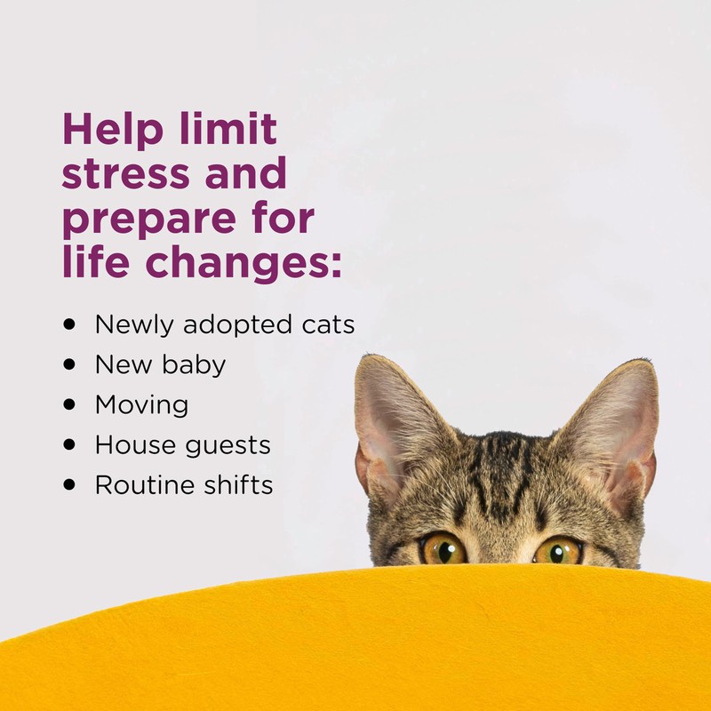 COMFORT ZONE 6 Pack Cat Calming Diffuser Refills; 30-day Refills;