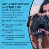 Animal Essentials Slippery Elm - Herbal Extract for Dogs and